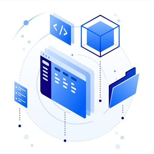 Custom application options